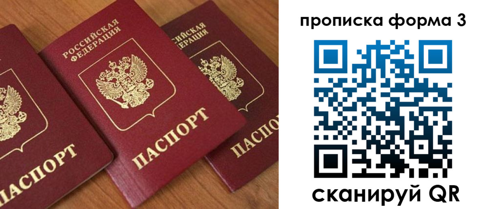 прописка в квартире в Сольцах